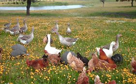 Agro-Turismo Monte Da Galega